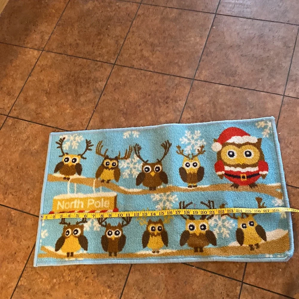 🎄Super cute Owl North Pole rug! 🎄